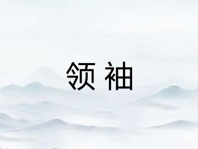 领袖