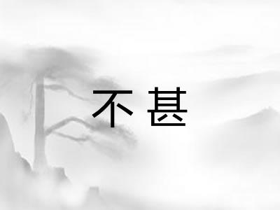 不甚