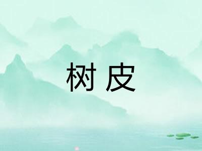 树皮 树皮