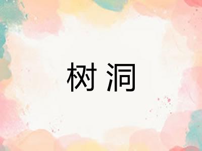 树洞