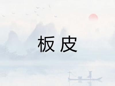 板皮 板皮