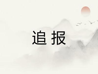 追报