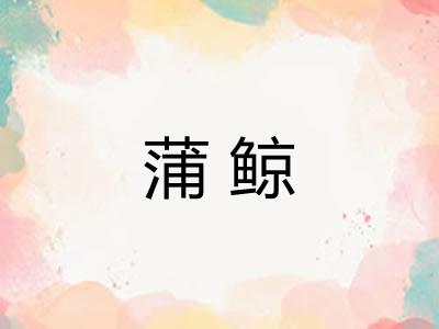 蒲鲸