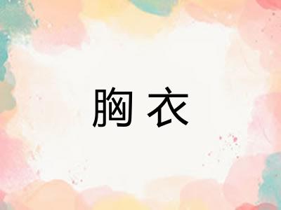 胸衣 胸衣