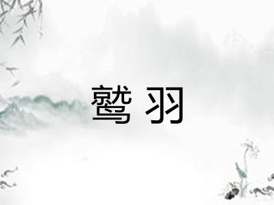 鹫羽