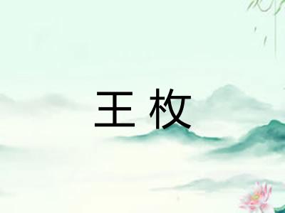 王枚 王枚