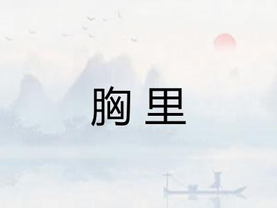 胸里 胸里