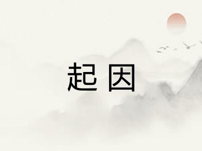 起因 起因