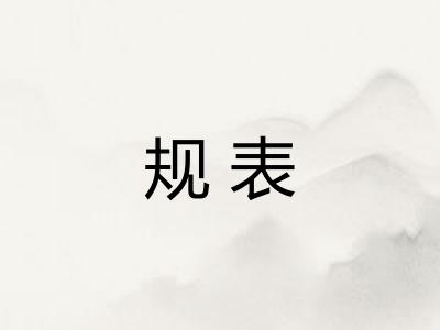 规表 规表