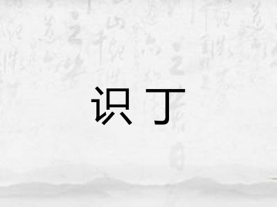 识丁