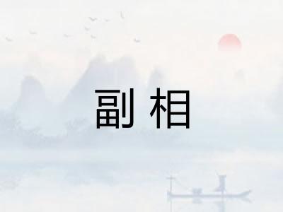 副相