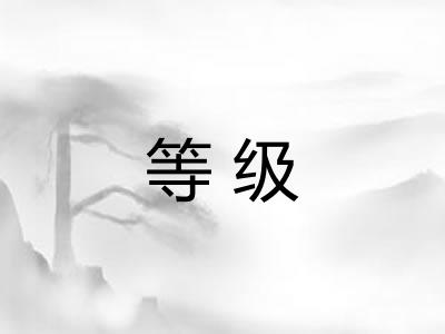 等级