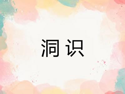 洞识 洞识