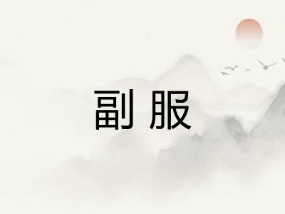 副服