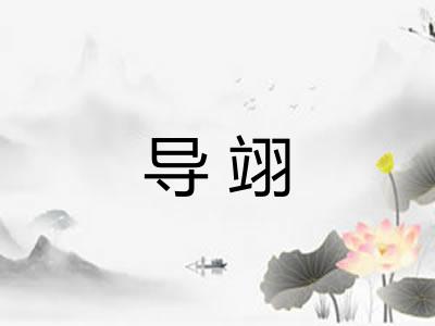 导翊 导翊