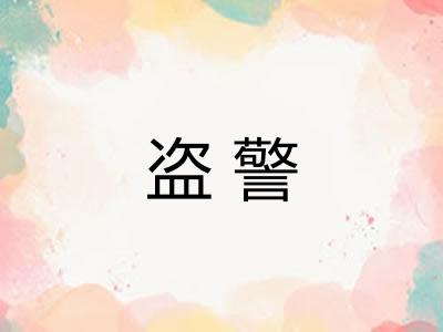 盗警 盗警