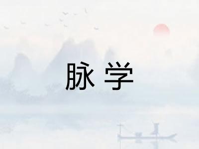 脉学 脉学