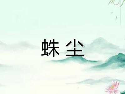 蛛尘 蛛尘