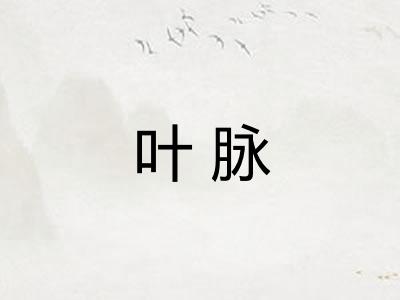 叶脉