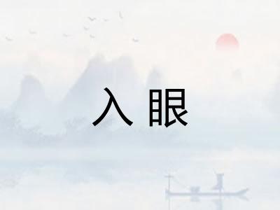 入眼