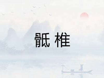 骶椎 骶椎