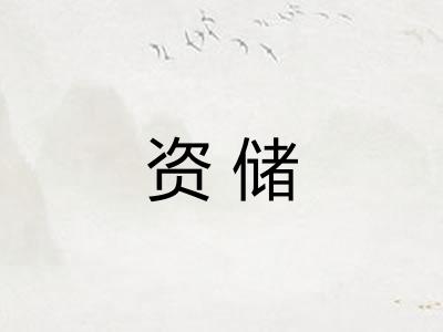 资储 资储