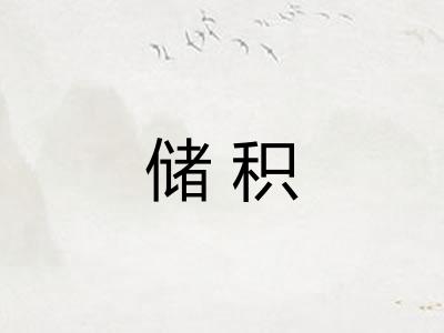 储积 储积