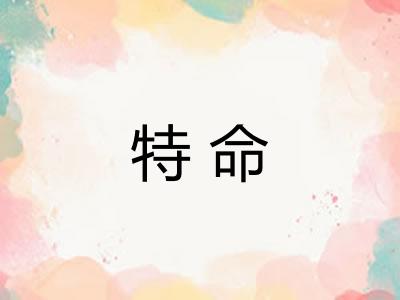 特命 特命