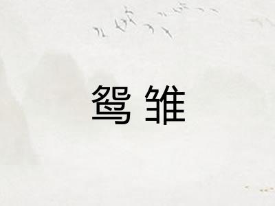 鸳雏