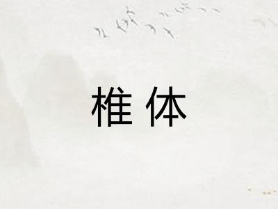 椎体 椎体