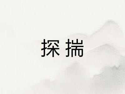 探揣