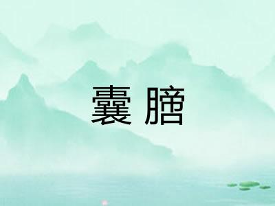 囊膪
