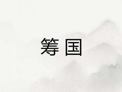 筹国