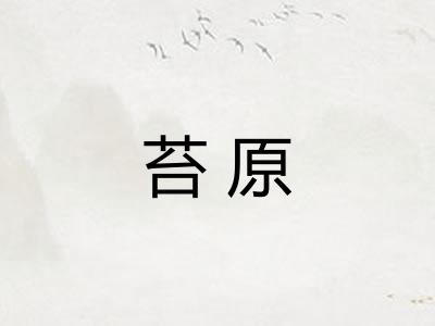 苔原