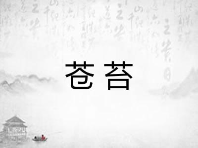 苍苔 苍苔