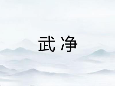 武净