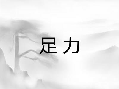 足力 足力