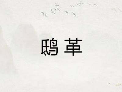 鸱革
