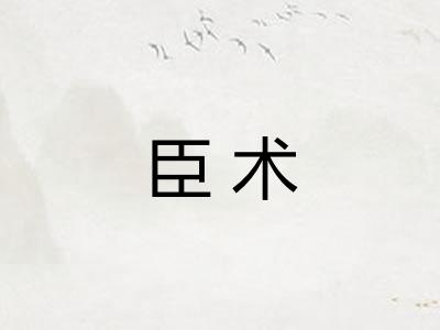 臣术 臣术