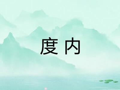 度内 度内