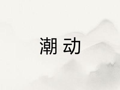 潮动 潮动