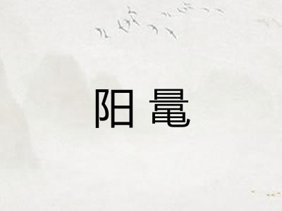 阳鼌