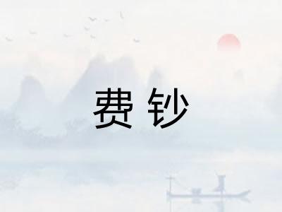 费钞 费钞