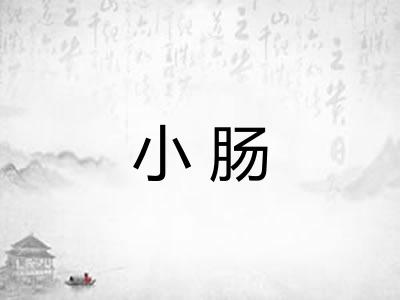 小肠