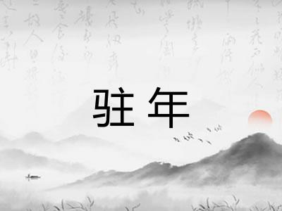 驻年