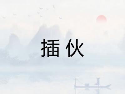 插伙 插伙