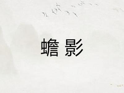 蟾影 蟾影