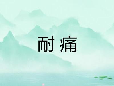 耐痛