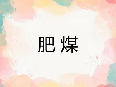 肥煤