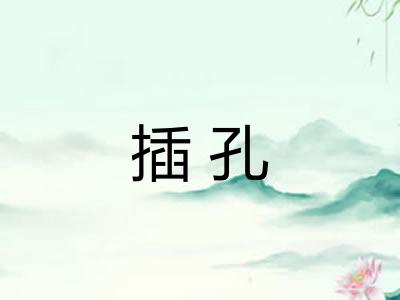 插孔 插孔